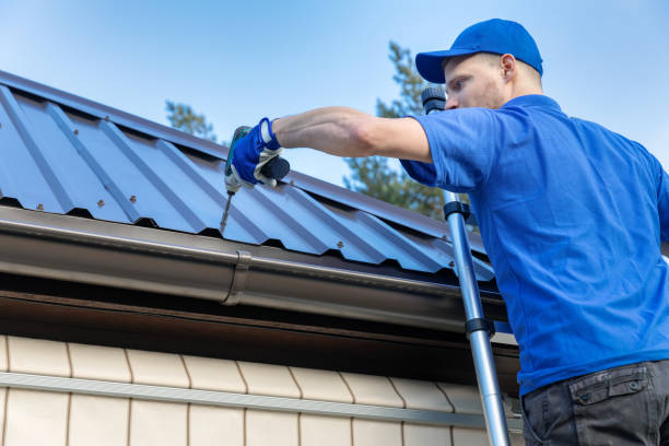 Best Gutter Installation and Repair  in Samson, AL